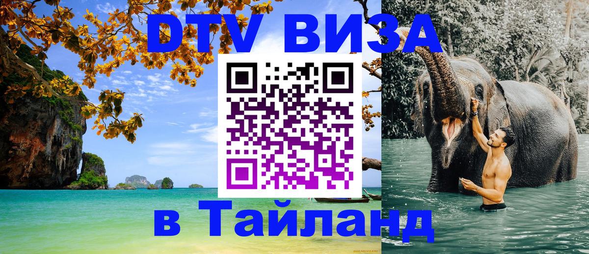 Visa ДТВ Тайланд помощь Орехово-Зуево 